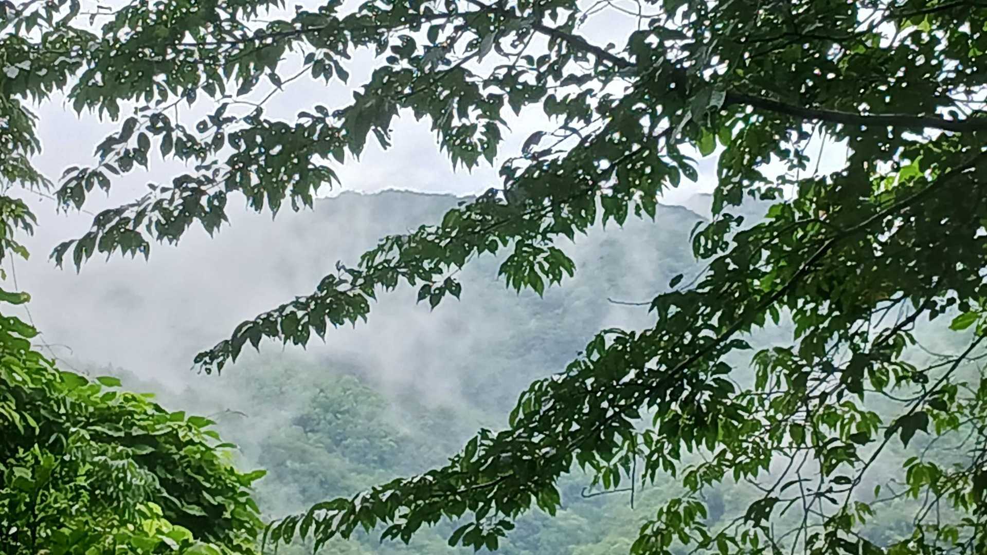 奥辺峠-大福山 往復コースの写真