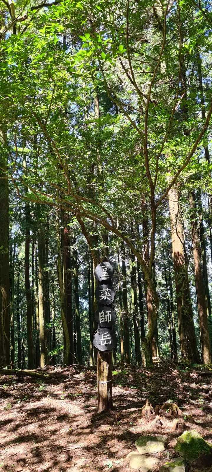 竜爪山の写真