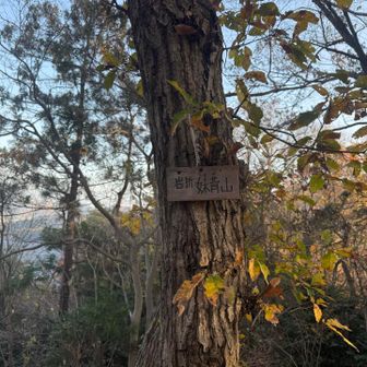 14.妹背山。ここでリーチ。やっと終わるのか。