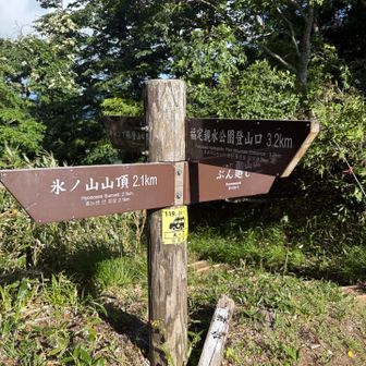 ぶん廻しコースに次回は挑戦したい