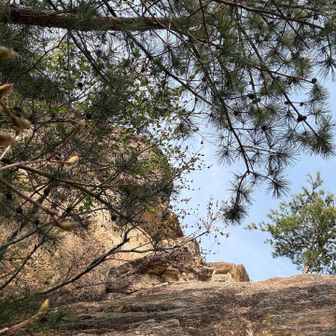 このルートは壁を登ります💪