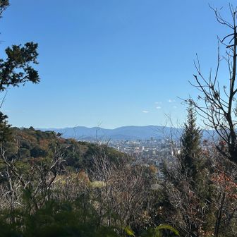 あっさり登頂。とはいえ、山名板はなし🙄遠くに生石ヶ峰が、見えました👀
引き返して次のピークへ。