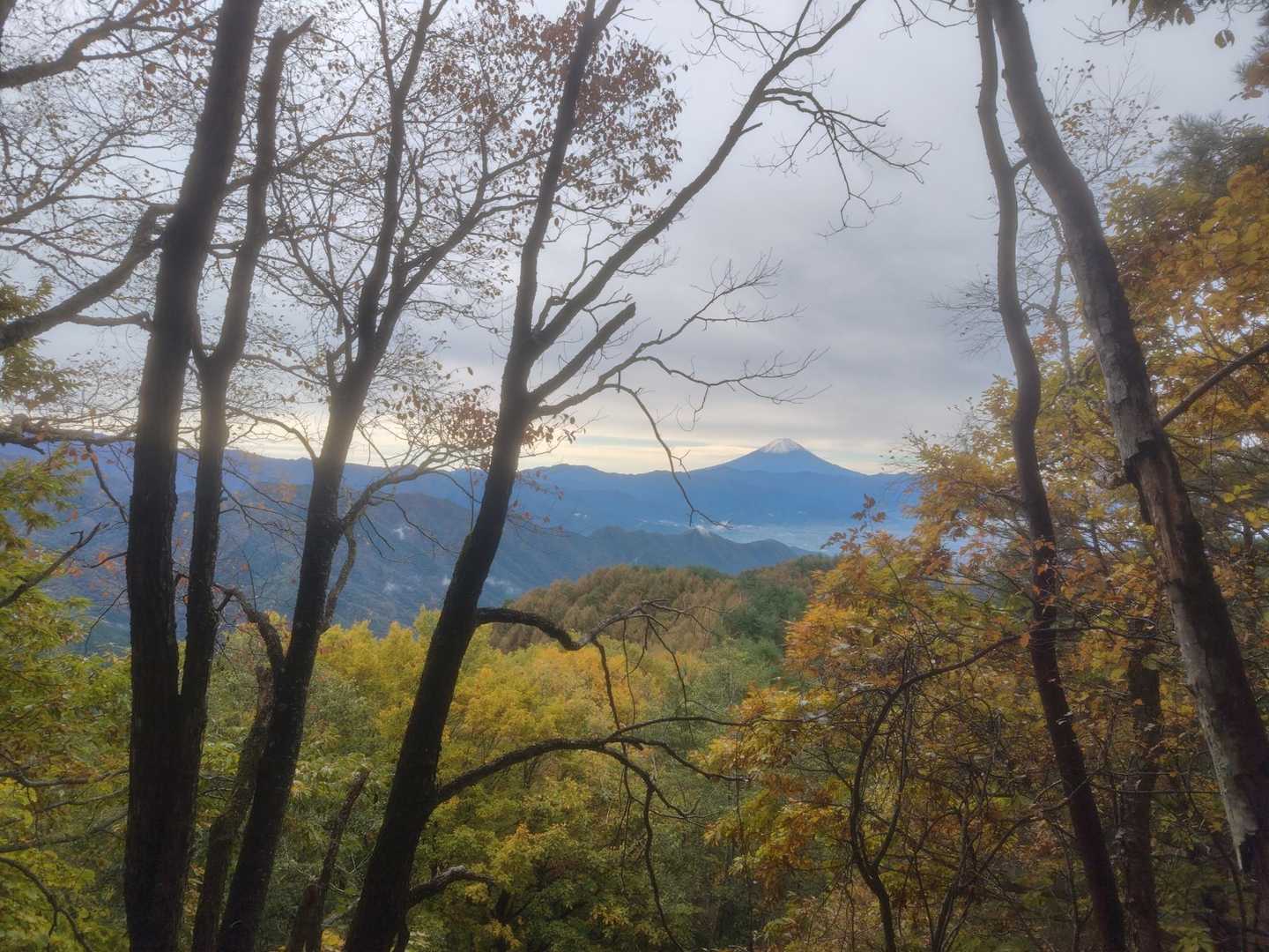 おお？振り返ると富士が見えました🗻