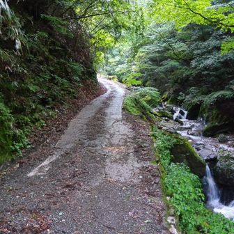 登山道入口までの道