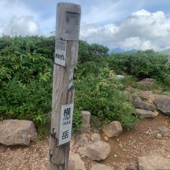 横岳登頂🥳
紫の花達が咲き誇る中を干からびるくらい歩いて満足したので下山開始します🤩
