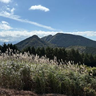🌾と⛰️のコラボ