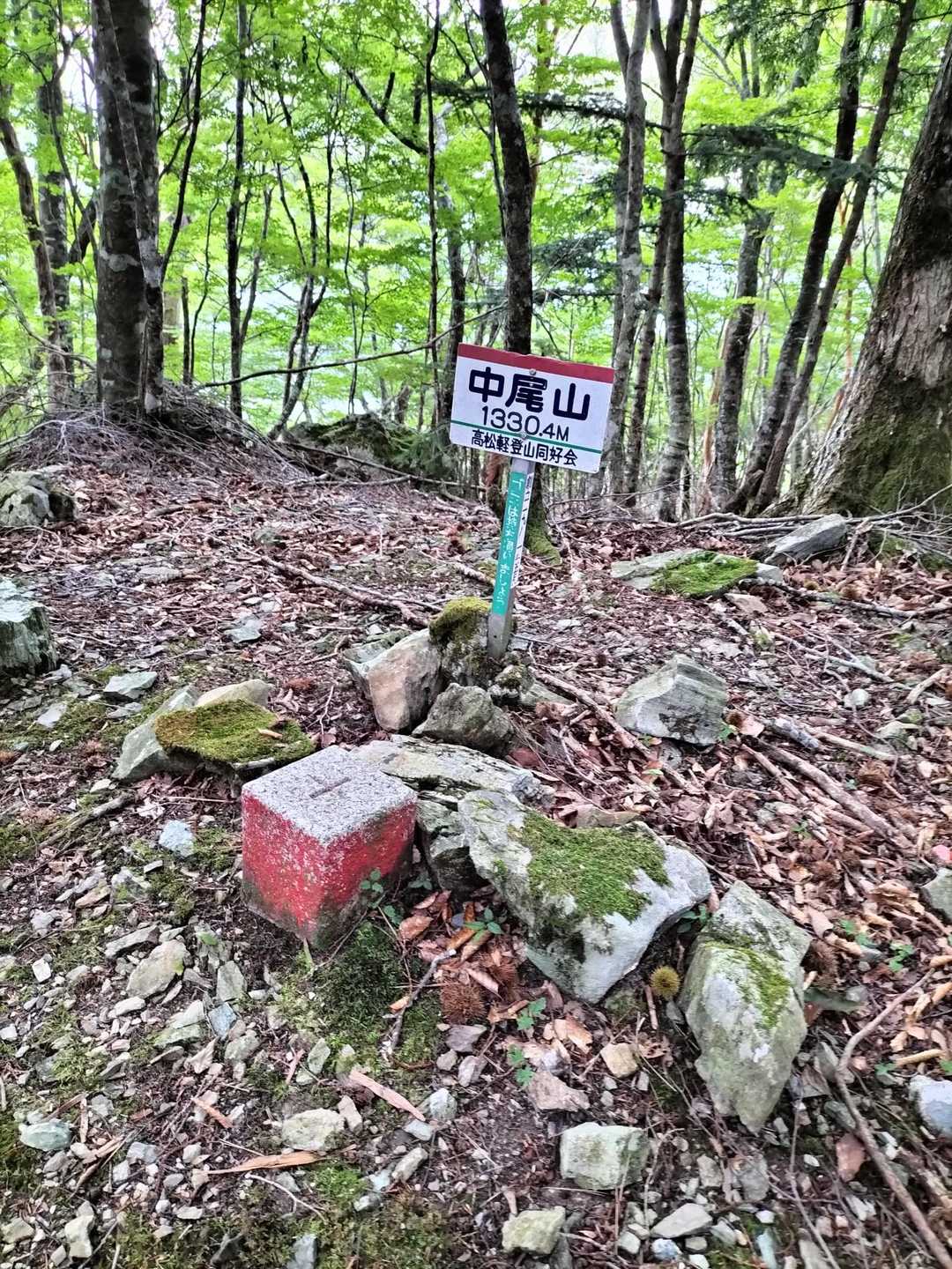 丸笹山-赤帽子山-中尾山 縦走コースの写真