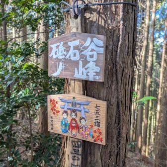 1座目　砥石谷ノ峰　登頂🙌