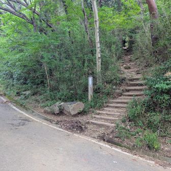 ここからが本番