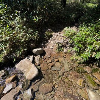 渡渉あり🤭綺麗な水だ〜
