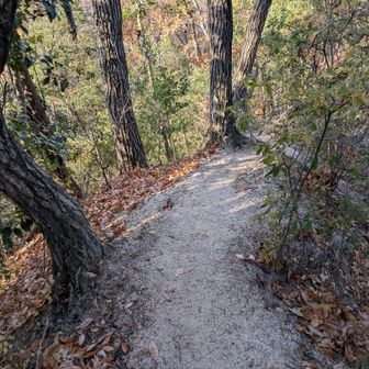 本当にもう少し！

ででででーん笑