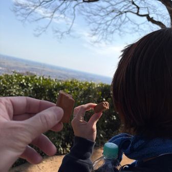 カミさんにカロリーメイトをあげました

「朝はお茶漬けしか食ってない」と言ってましたが、お茶漬けも食ってるじゃん！