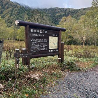 菅沼登山口駐車場は５時半時点で半分くらいの入り
登山口ではドコモの電波は受信できないので注意！