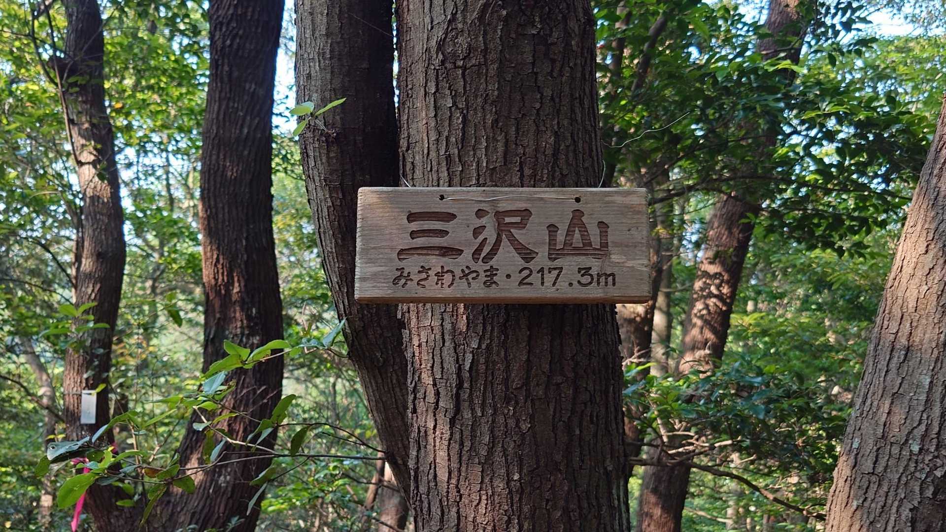 三沢山山頂🚩に到着🙆
標高217m