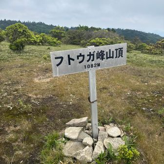 到着