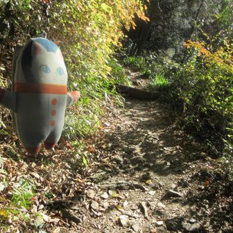 今日は寒いので日向がうれしい