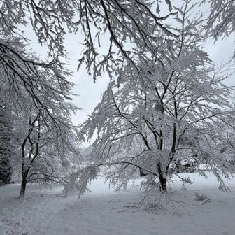 自然が成すこの光景が好き😊
