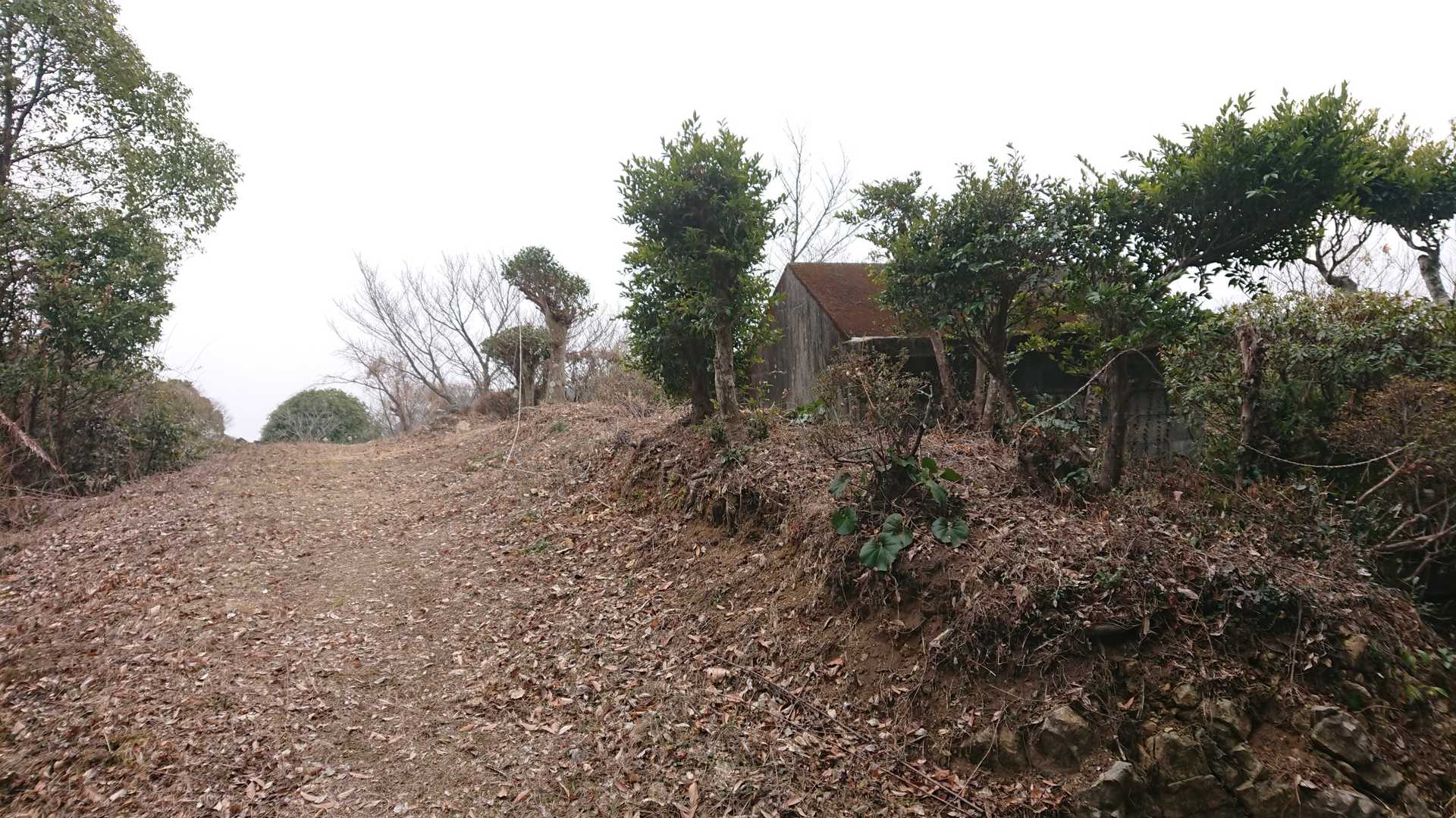 木場普賢岳山頂