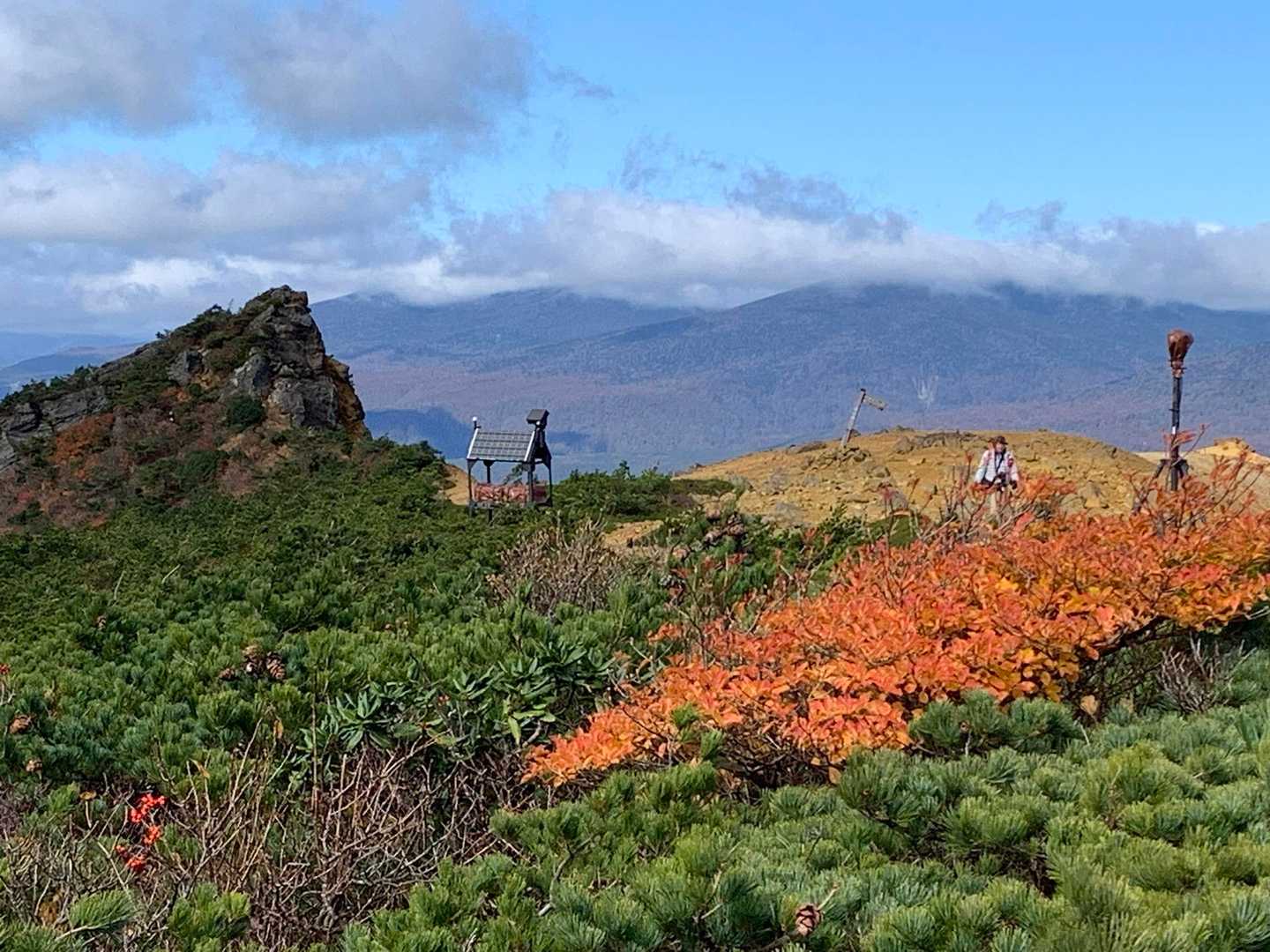 鮮やか🧡