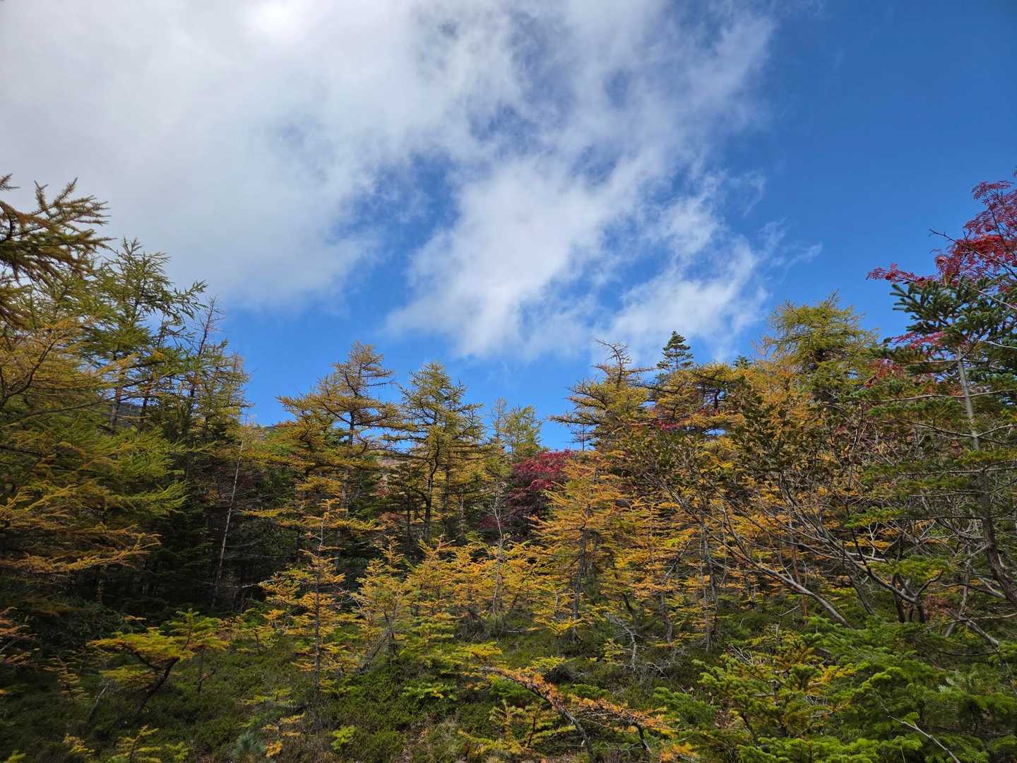 賽の河原へ🍁