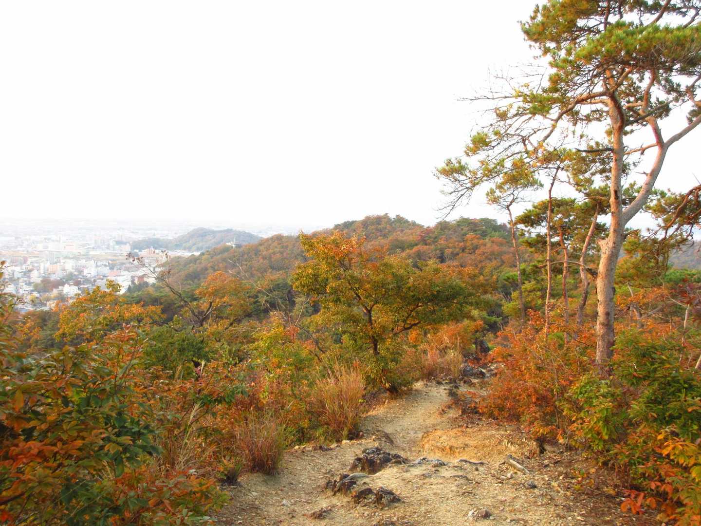 下りの登山道[両崖山展望台～明石山山頂]