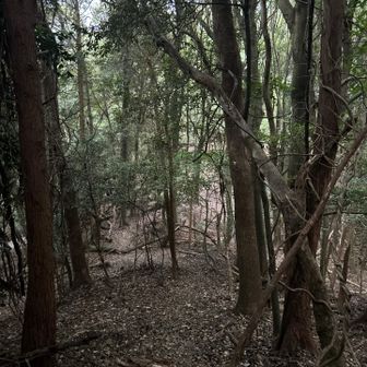 小鷹城山へはこんな感じのルート