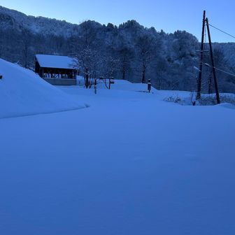 ＮＯトレース😋