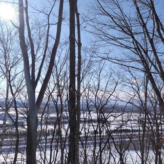 きっと国見山に来るようにお山から呼ばれていたんだね～😂