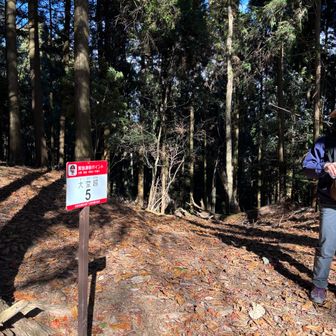 あっという間にここまで来れました