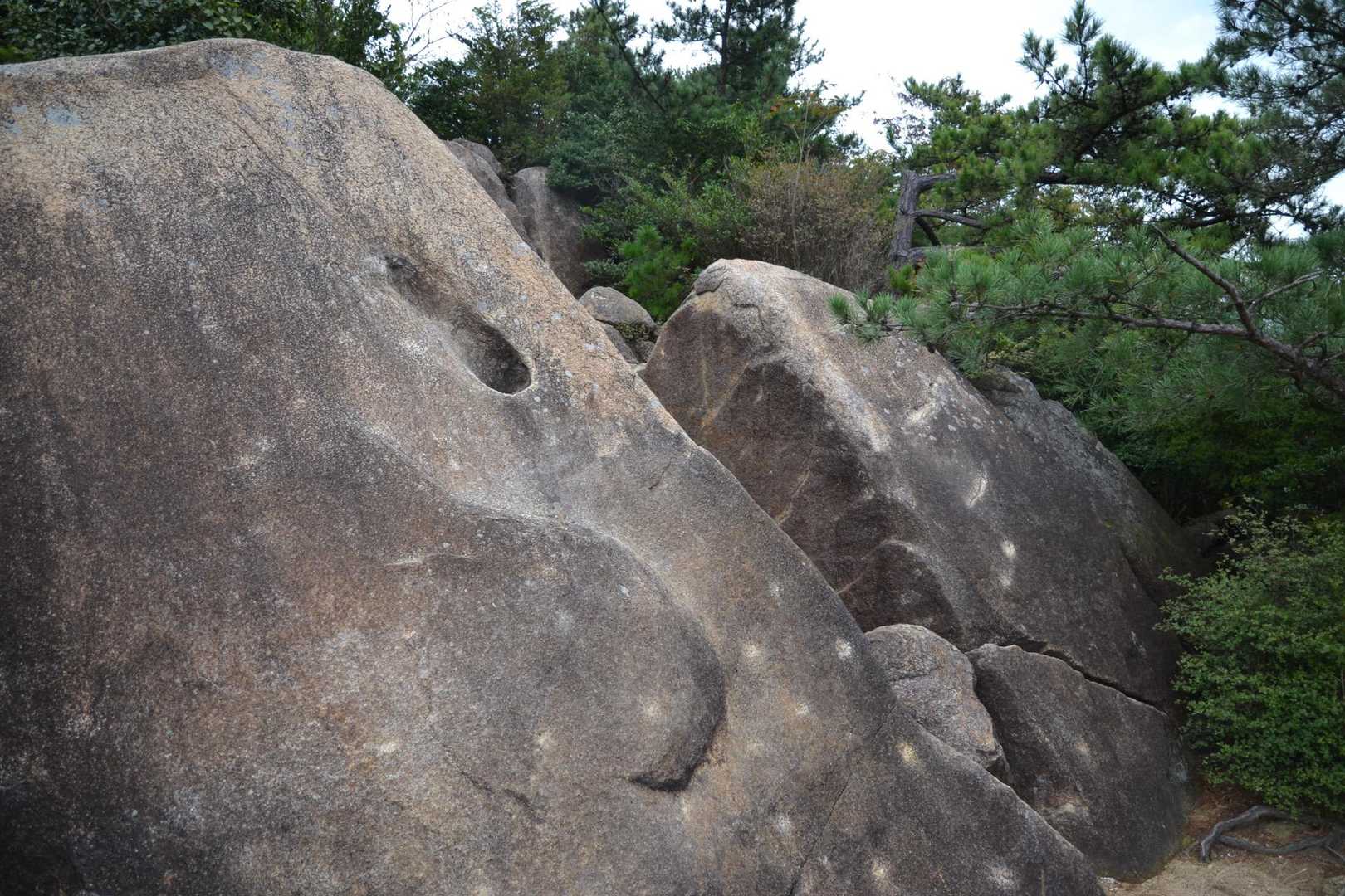 この岩は登らず迂回路で上へ行けました♩