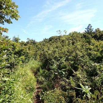 山頂台地を横断して