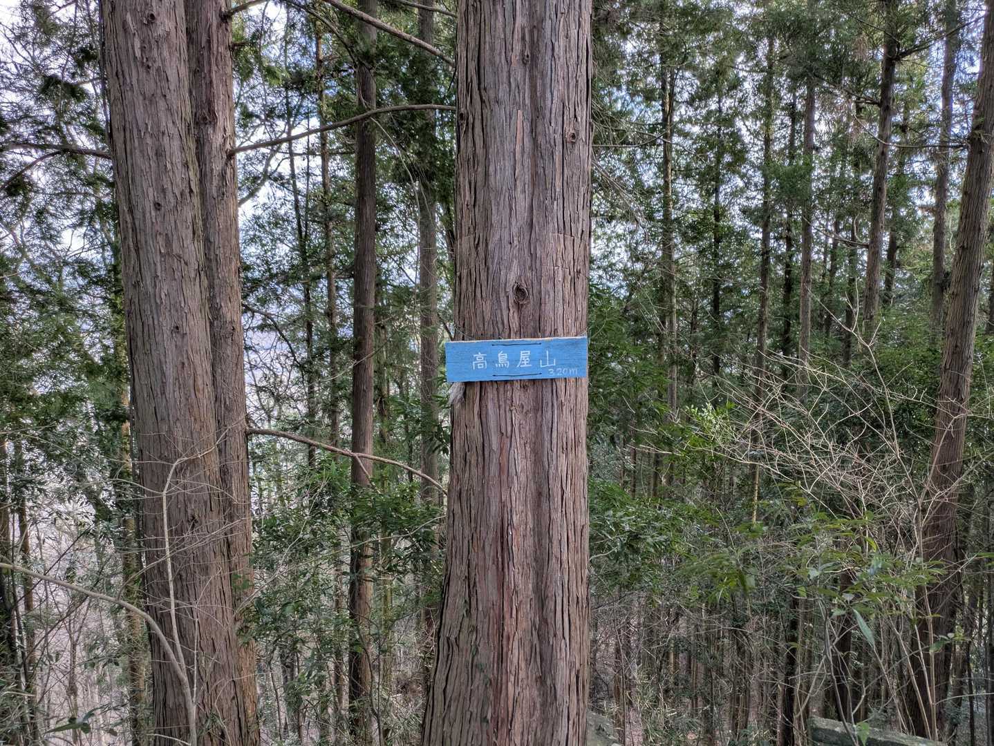 大沢山-高鳥屋山-雷電神社 周回コースの写真
