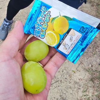 この辺りの整備をしてくださっているアルピナさんに出会い、マスカットとゼリーをいただく！
整備してくださっていた方皆さんに元気をもらい生き返った😆
私たちが気持ちよく山を楽しめるのも、整備してくださる皆さんのおかげ。
本当にありがたいです🙏

疲れも吹っ飛びました！
今日安芸アルプスに来れて良かった🥰