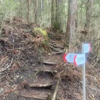 登山口に到着
男坂・女坂コースで登ります🚶