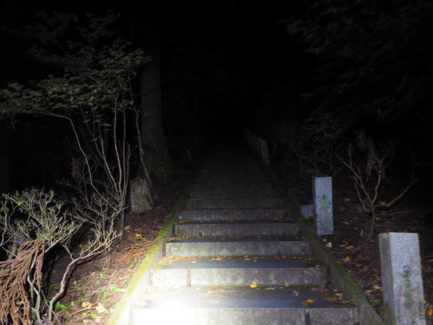 平日、夜明け前につき、他に人はいません
石段を黙々と登ります