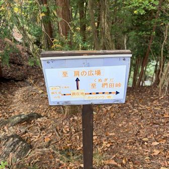 椚田峠方面へ💨