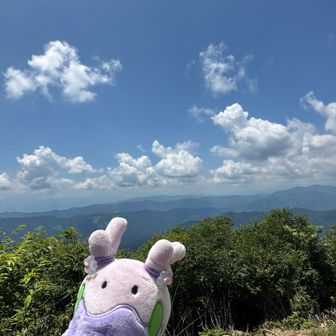 ヌメラも喜んでいるようです。
