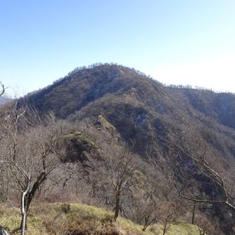 檜洞丸を振り返る