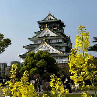 すえ