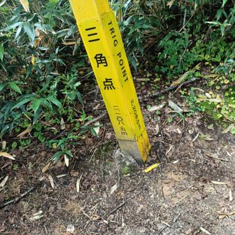 三角点まで