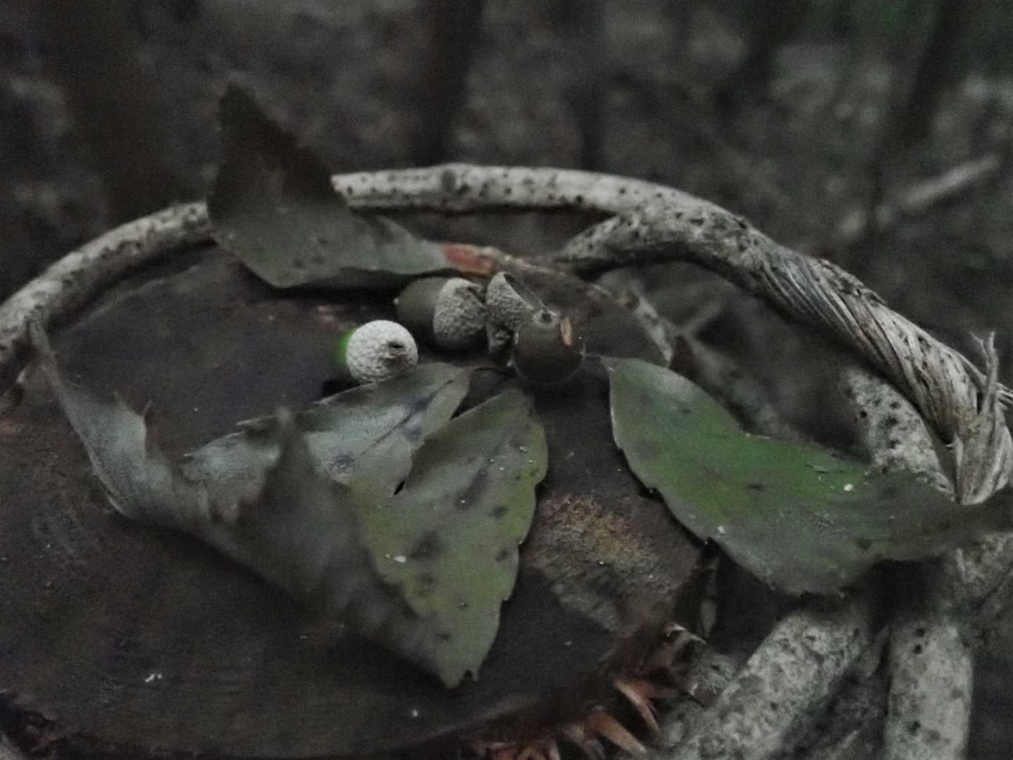 秋のオブジェ