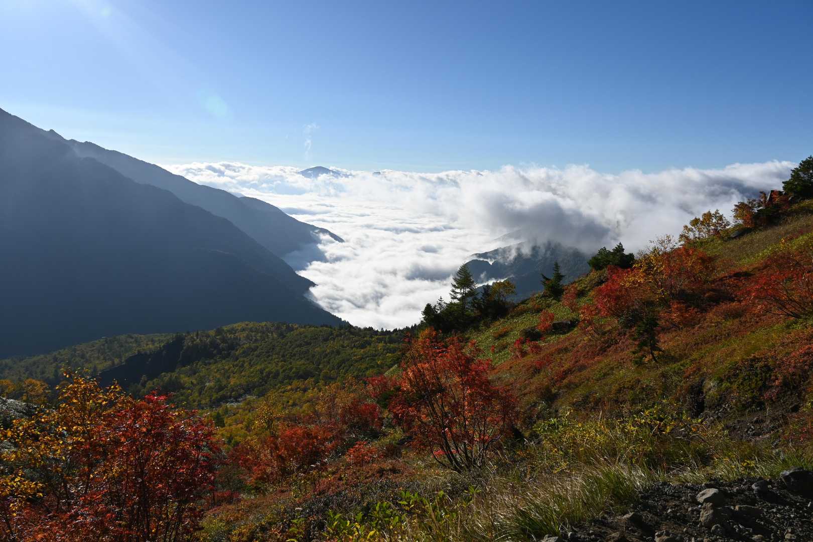 気づけば、上空の雲が無くなってる