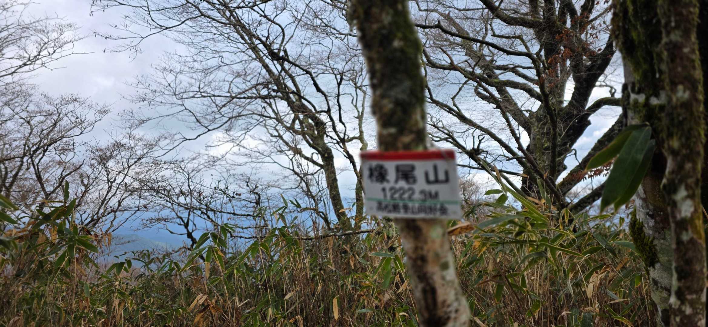 サムーい