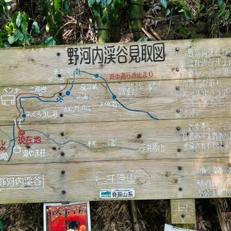 野河内渓谷見取図