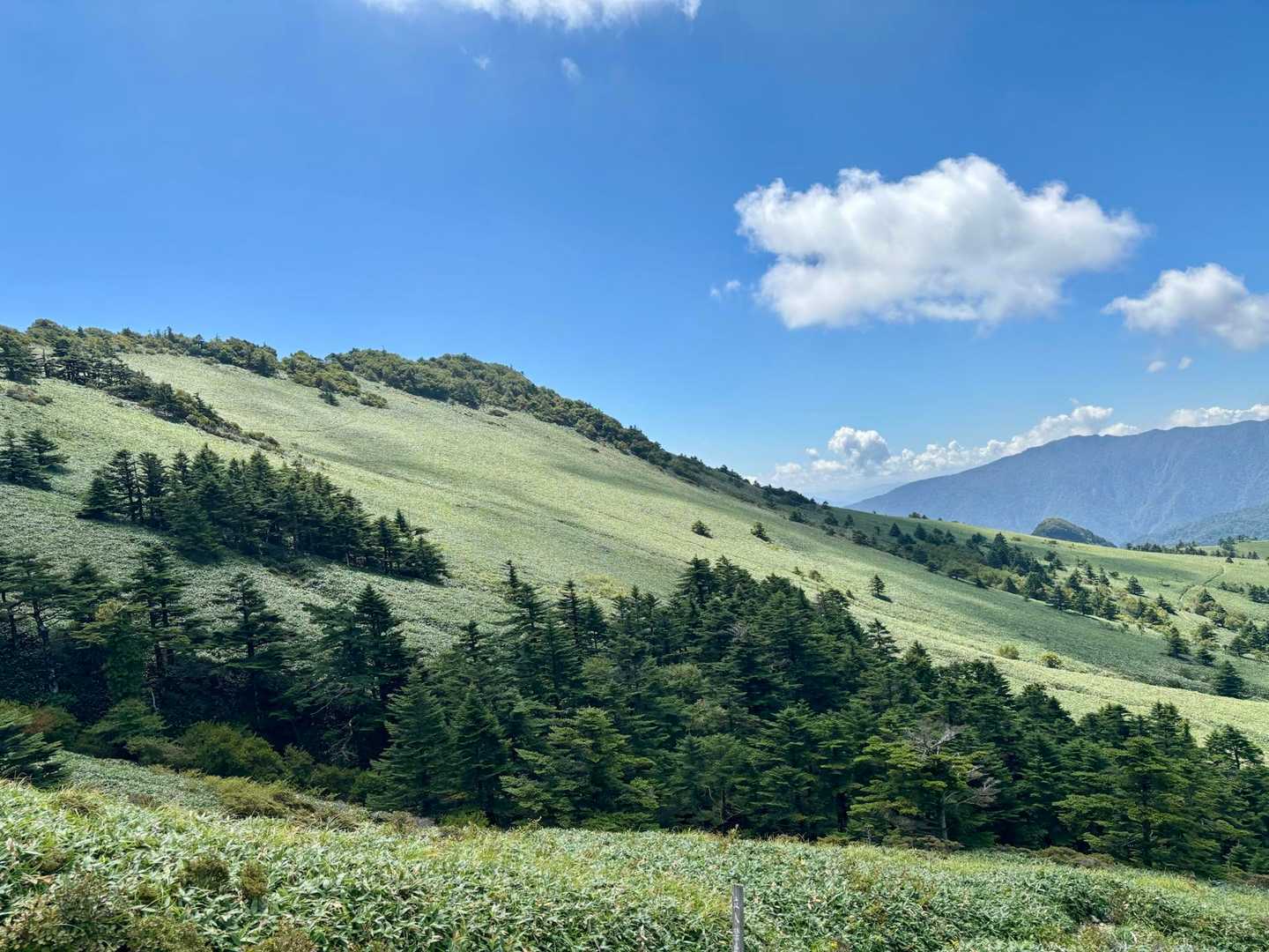 瓶ヶ森登山口発着｜四国最高峰を眺望する瓶ヶ森 周回コースの写真