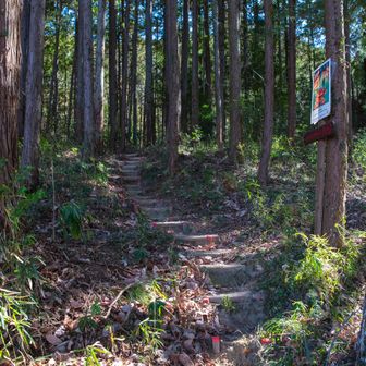 網代弁天山・網代城山 登山口
