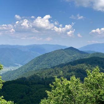 歩いてきた水井山と横高山を眺める✨

しばらく日向なので傘をさして歩く