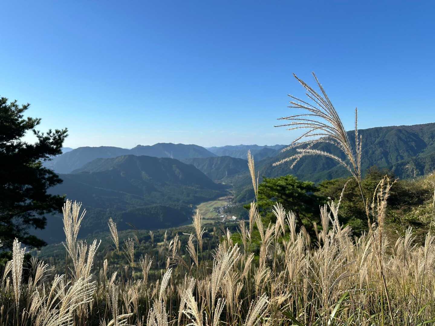 絶景〜🤩✨♪
