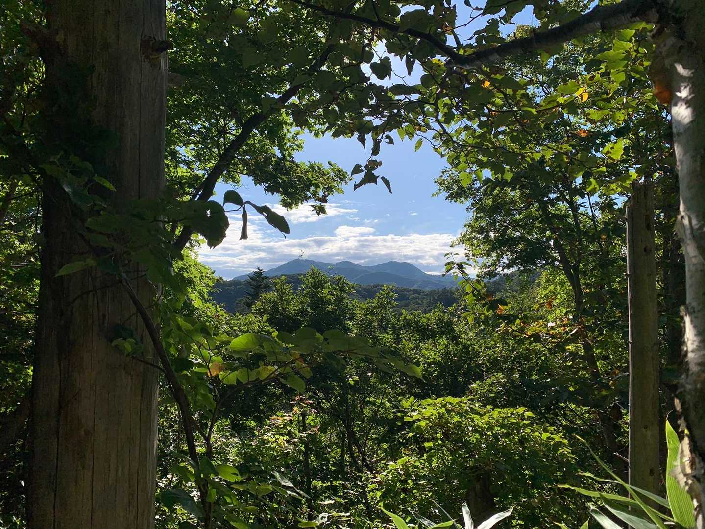 こんな所に砥石山のNice view pointが。まるで絵画🖼️の様です☺️。