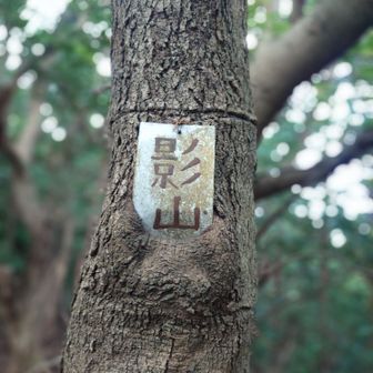 そ〜なるわな〜